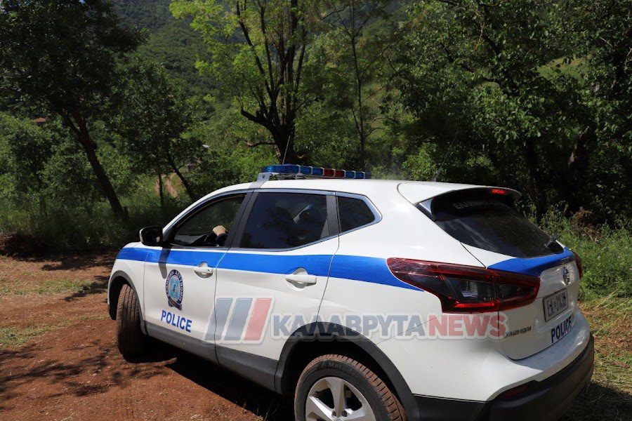 Καλάβρυτα: Άγνωστοι πυροβόλησαν σκύλο σε αυλή σπιτιού