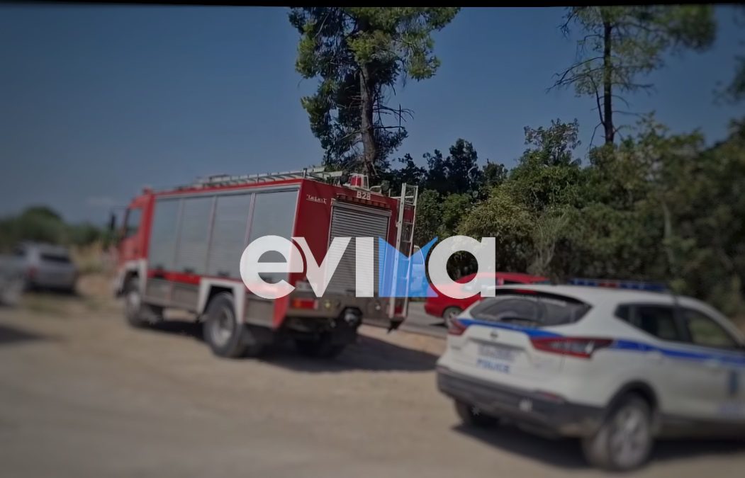 Εύβοια – Σκύρος: Υψηλός κίνδυνος πυρκαγιάς σήμερα – Τι απαγορεύεται