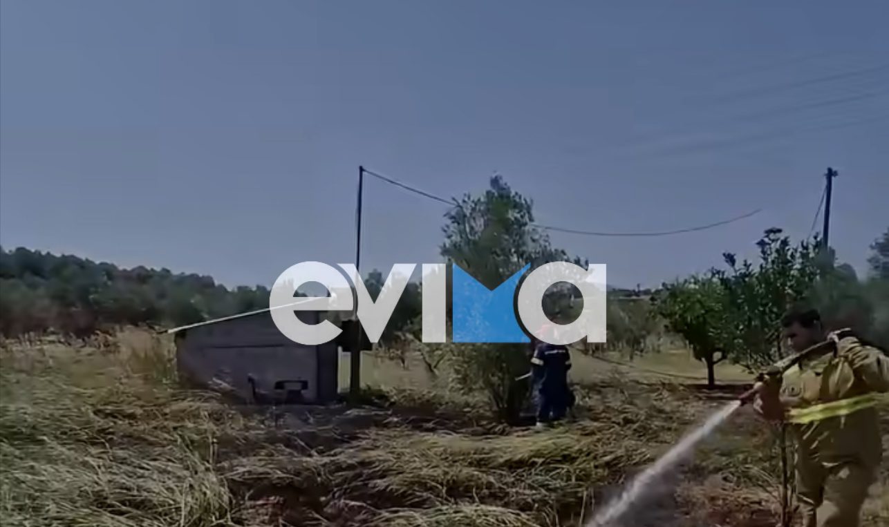 Προσοχή σήμερα στην Εύβοια! Πολύ υψηλός κίνδυνος πυρκαγιάς- Τι απαγορεύεται