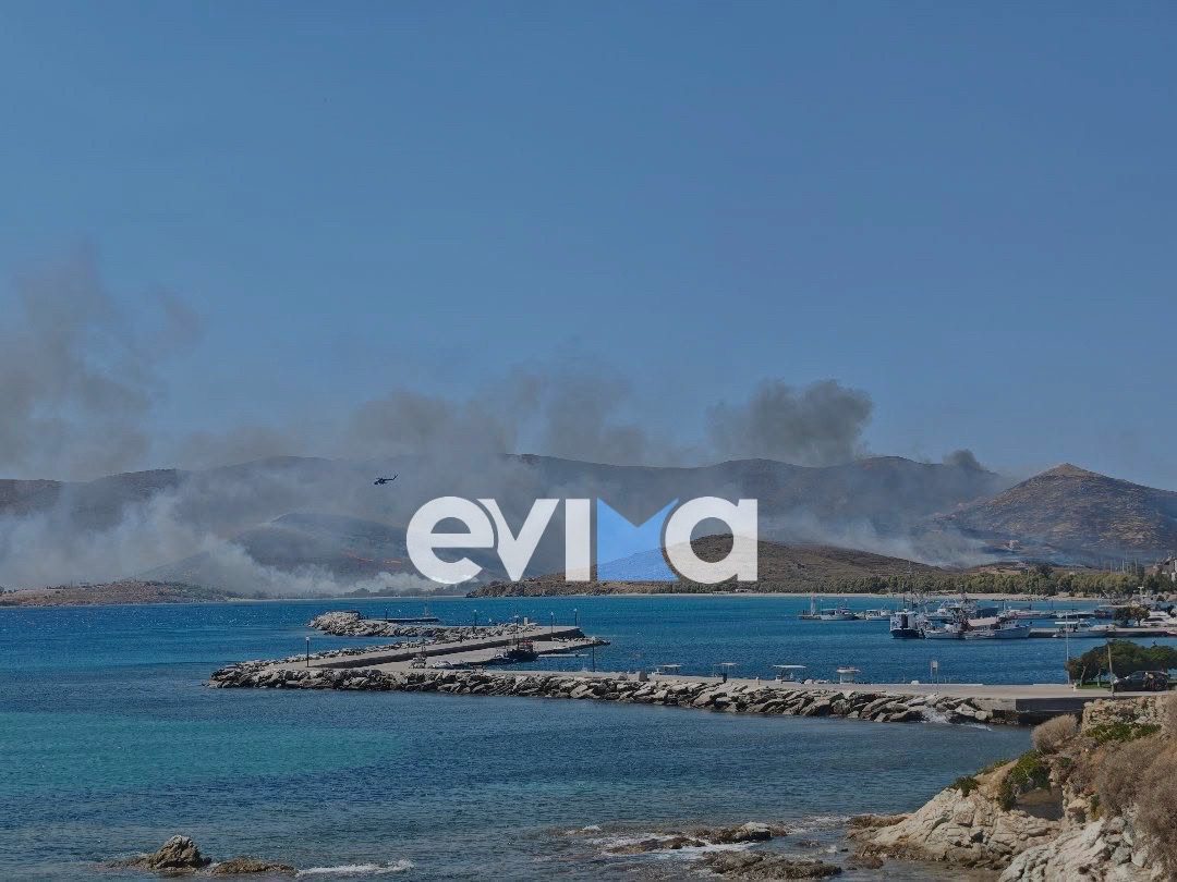 Φωτιά στην Εύβοια: Νέο 112, εκκενώνονται άλλες δύο περιοχές – Τρία τα μέτωπα