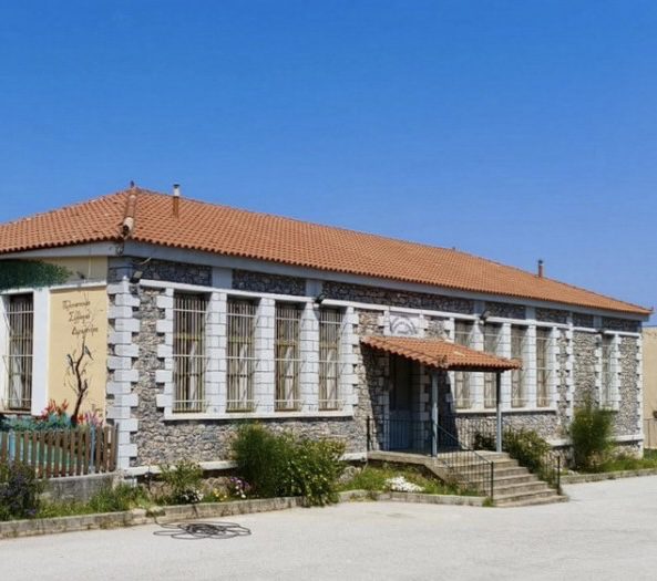 Σήμερα η γιορτή μουσταλευριάς στην Εύβοια: Πού θα γίνει