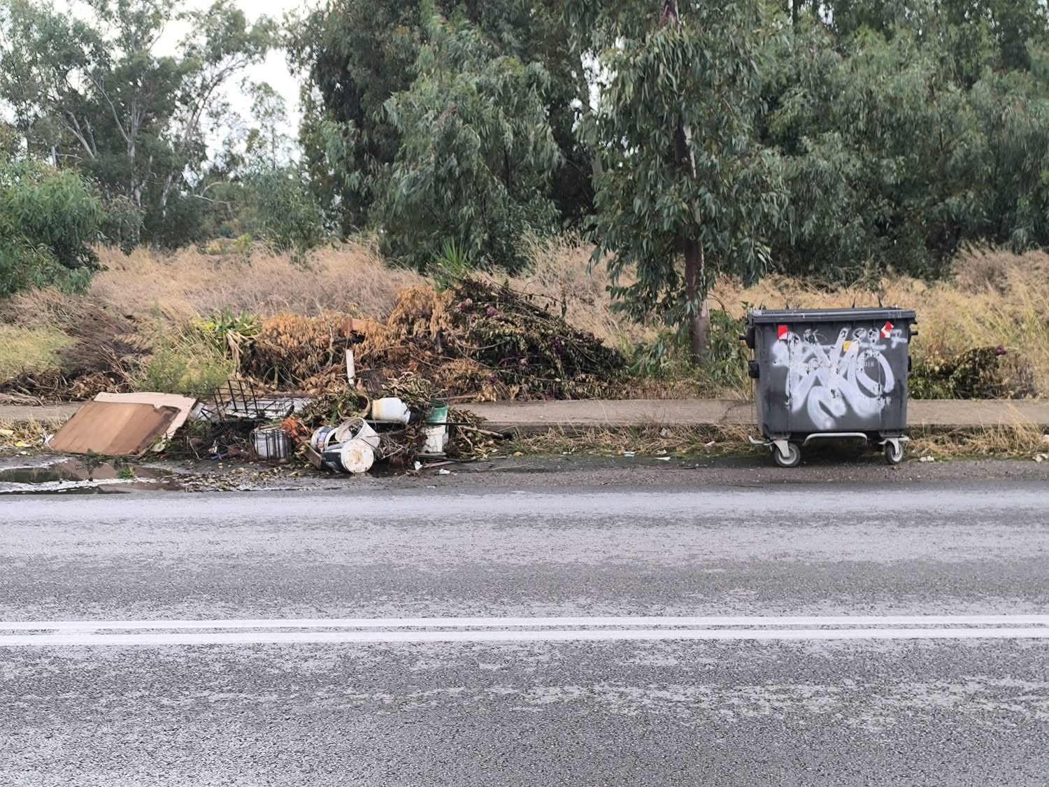 Εύβοια: Εικόνες που προκαλούν οργή – Σκουπίδια και κλαδιά δίπλα στον δρόμο
