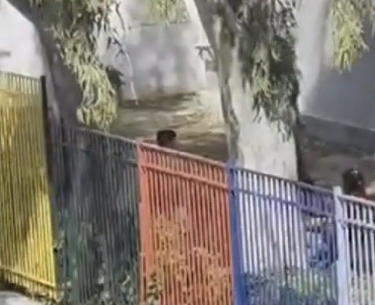 Βίντεο από νηπιαγωγείο προκαλεί αντιδράσεις – Οι φράσεις που ακούγονται