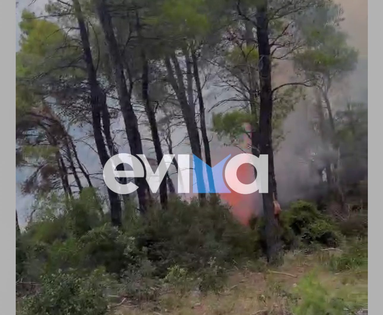 Εύβοια τώρα δύο φωτιές σε δασική έκταση