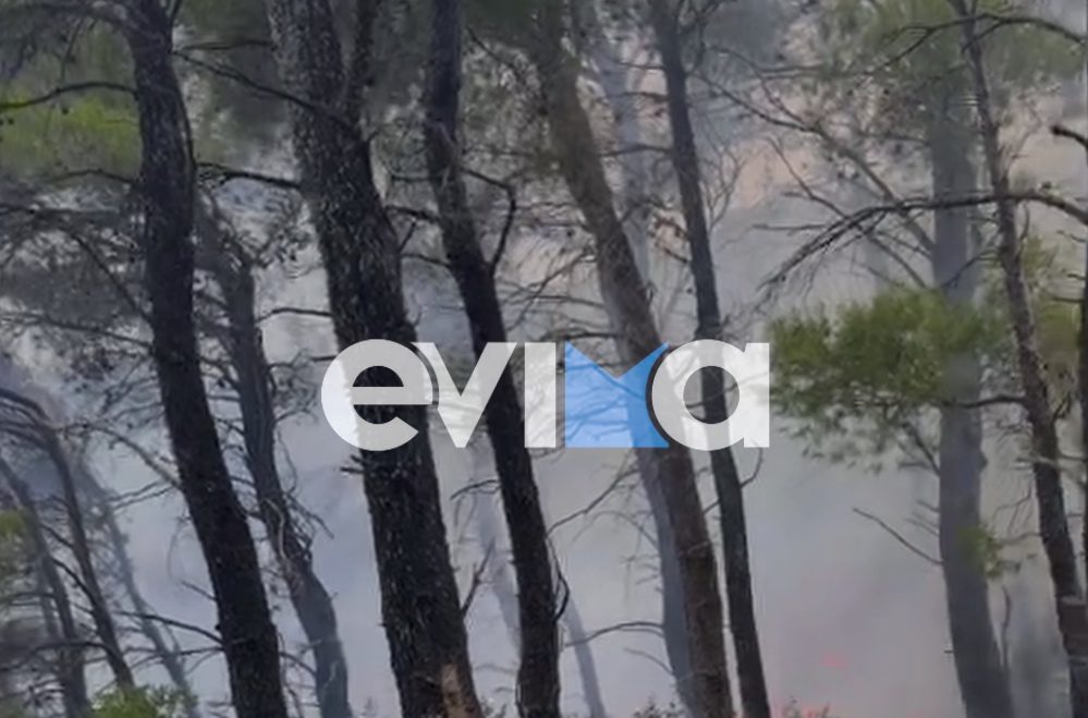 Νέα φωτιά τώρα στην Εύβοια σε δασική έκταση
