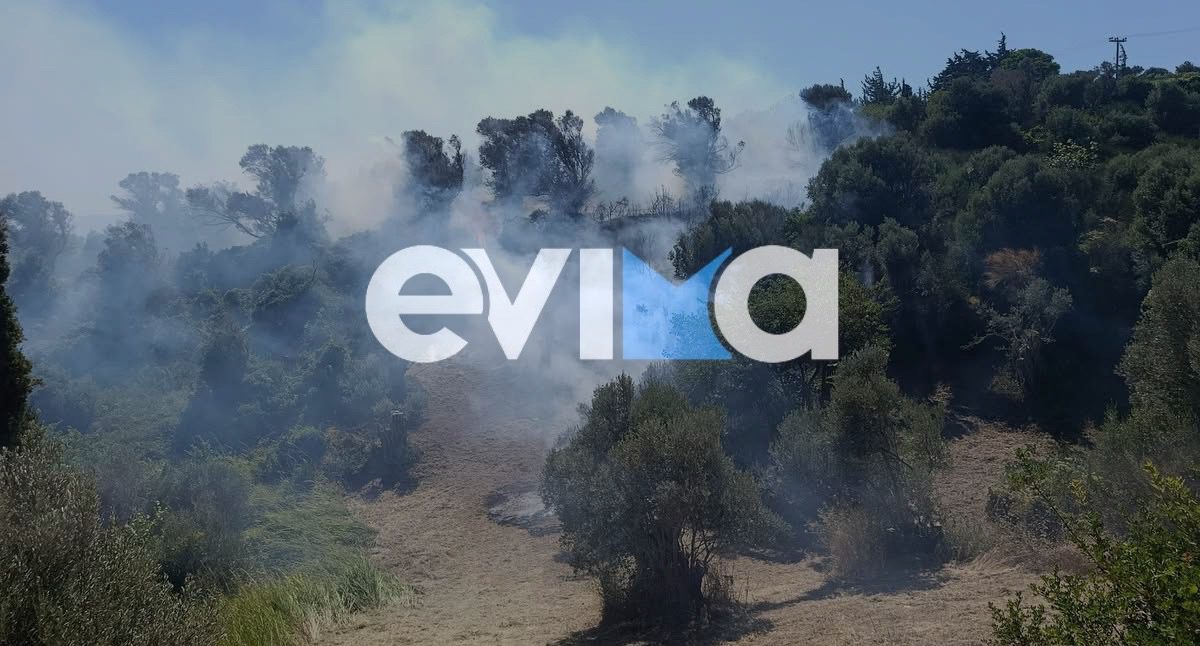 Φωτιά τώρα στην Εύβοια