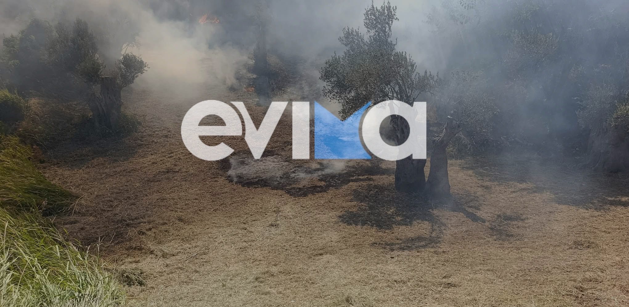 Εύβοια – Αποκλειστικό: Συνελήφθη 55χρονος για τη φωτιά στην Κύμη