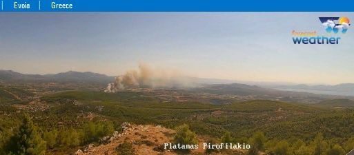 Φωτιά τώρα σε δάσος στην Εύβοια