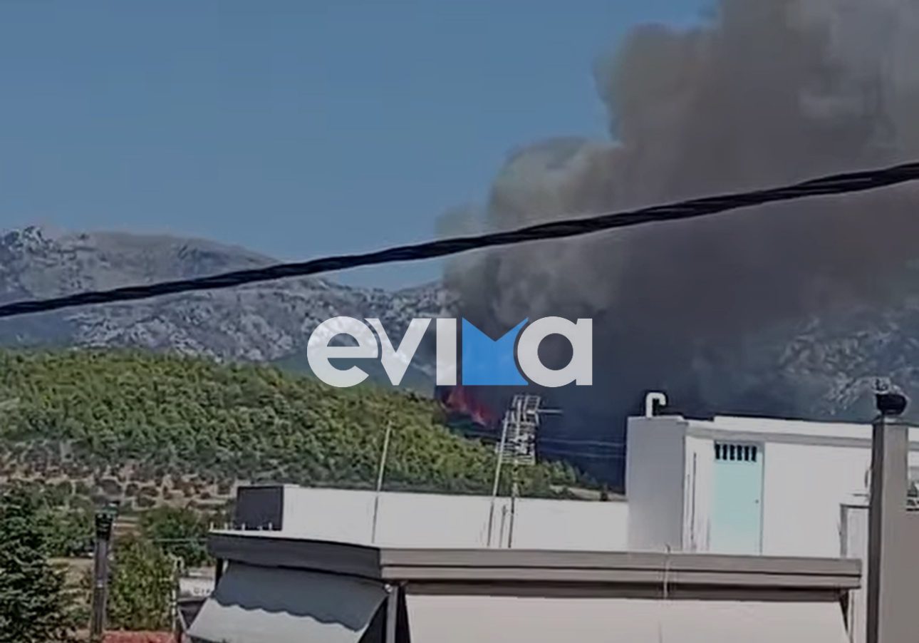 Μεγάλη φωτιά σε δάσος της Εύβοιας κοντά σε σπίτια – Ήχησε το 112
