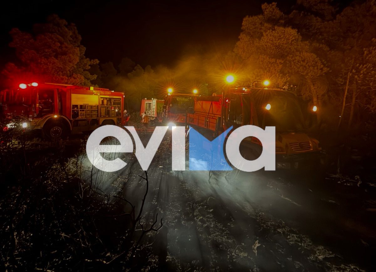 Χωρίς ενεργό μέτωπο η φωτιά στην Εύβοια: Νύχτα επιφυλακής για Πυροσβεστική και στρατό