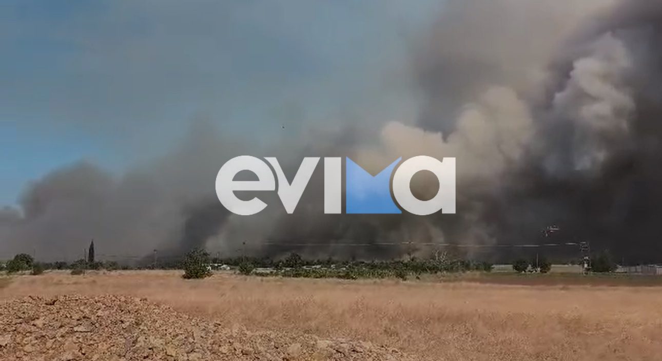 Εύβοια: Η επόμενη μέρα της καταστροφικής φωτιάς – Τι έκαψε, τι γίνεται με τις αποζημιώσεις
