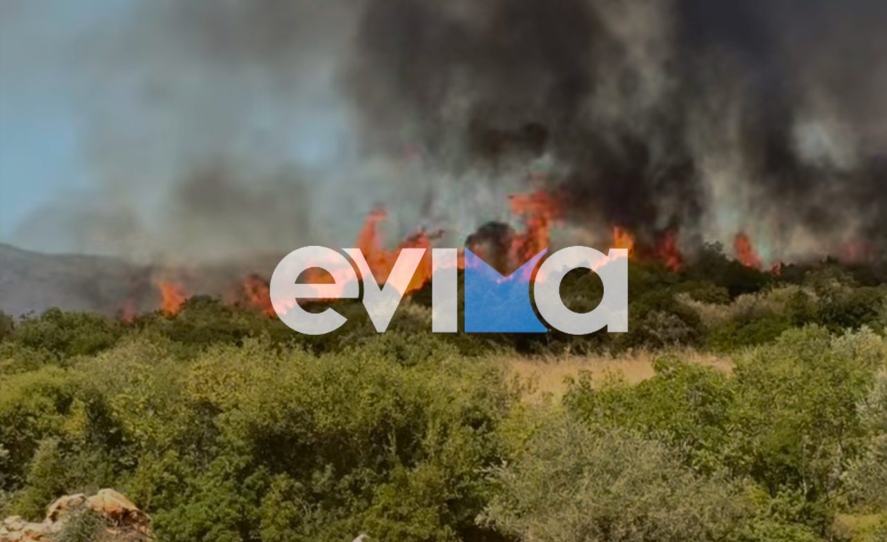 Φωτιές: Τι δείχνει ο χάρτης επικινδυνότητας σήμερα για την Εύβοια και τη Σκύρο