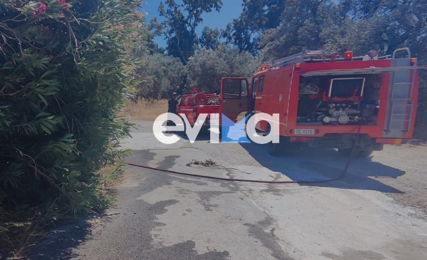 Φωτιά τώρα σε δασική έκταση στην Εύβοια – Ήχησε το 112