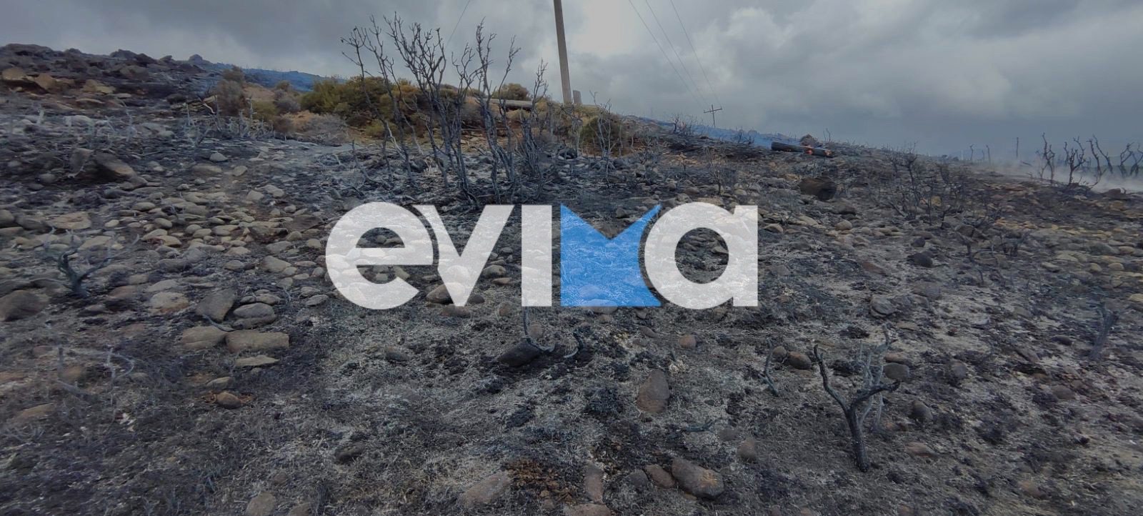 Νεότερα για τη φωτιά σε δασική έκταση στην Εύβοια- Ισχυρές δυνάμεις της Πυροσβεστικής στο σημείο
