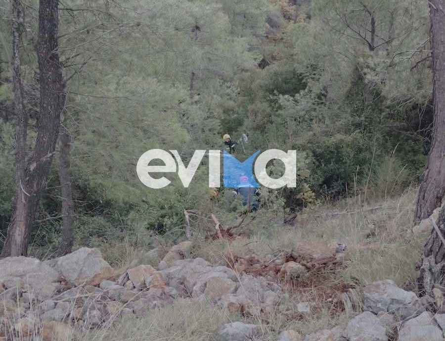 Νέο τροχαίο στην Εύβοια: ΙΧ έπεσε σε γκρεμό με τρεις επιβάτες