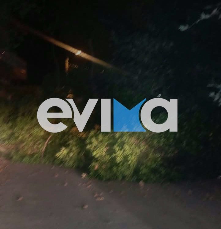 Εύβοια: Έπεσε μεγάλος πλάτανος σε κεντρικό δρόμο