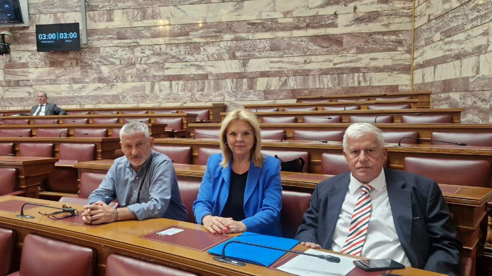 Στα έδρανα της Βουλής η δήμαρχος Χαλκιδέων, Έλενα Βάκα