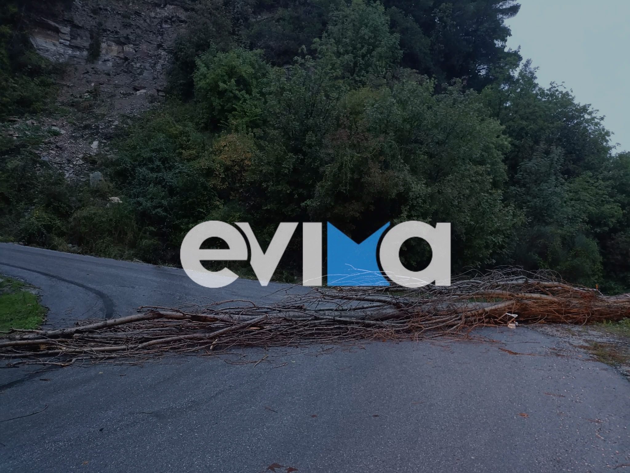 Μεγάλα προβλήματα από την κακοκαιρία στην Εύβοια: Έπεσε μεγάλο δέντρο σε κεντρικό δρόμο