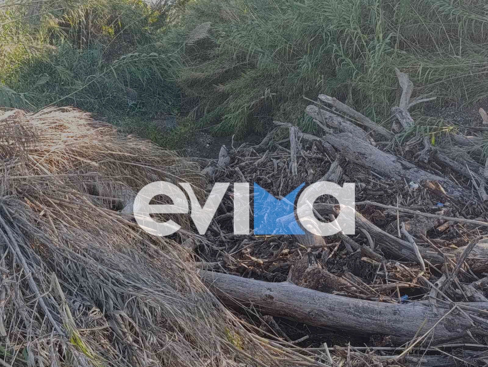 Σοβαρή καταγγελία στην Εύβοια: Ποτάμια έχουν γεμίσει με κορμούς δέντρων – Τι θα γίνει στην επόμενη κακοκαιρία;