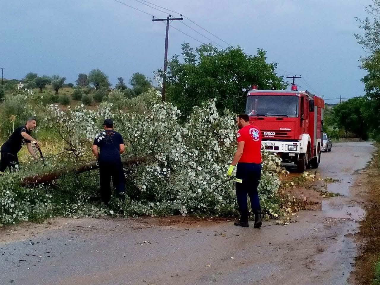 Εύβοια: Οι εθελοντές είναι πάντα στην πρώτη γραμμή – Η Πολιτεία θα σταθεί πιο ουσιαστικά δίπλα τους;