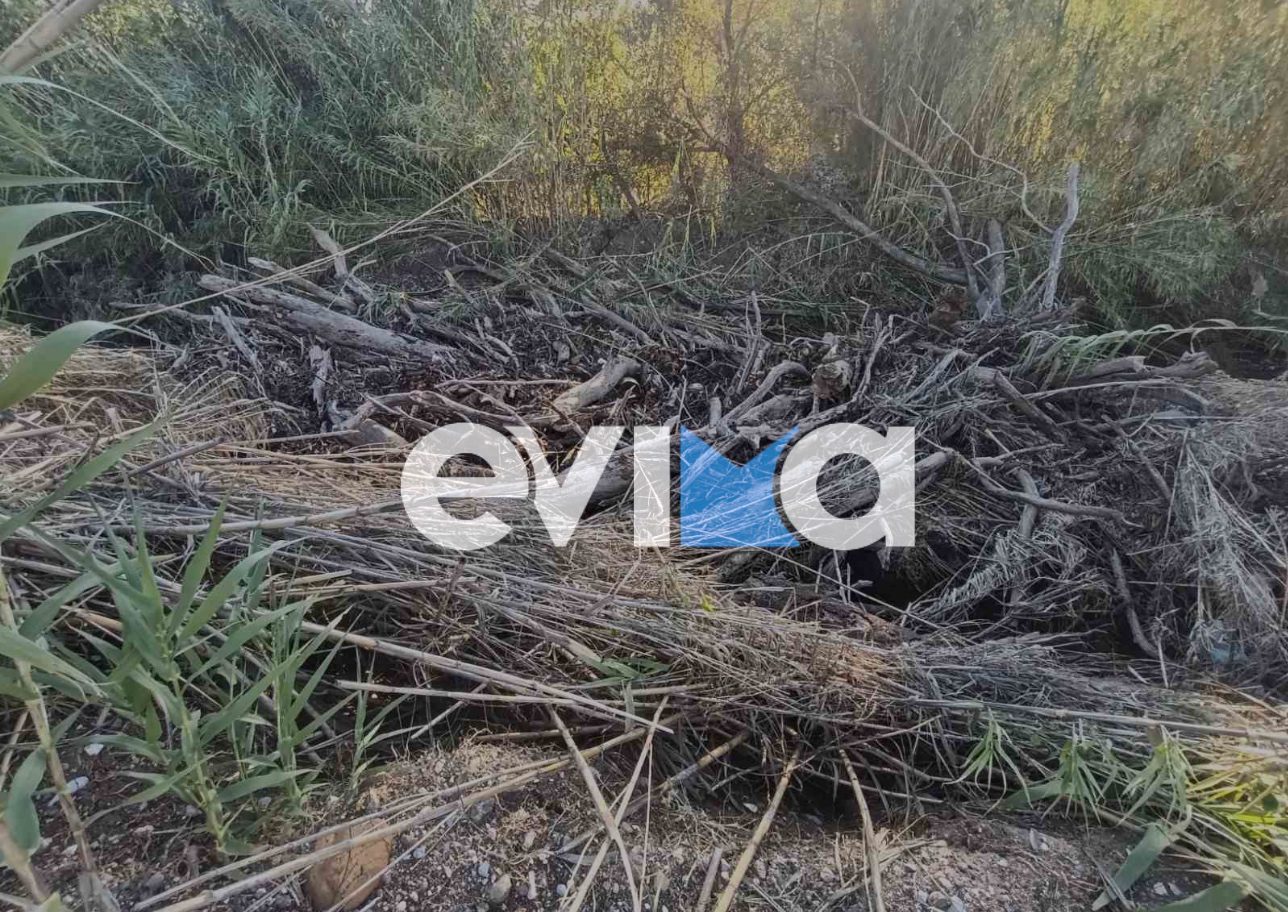 Βόρεια Εύβοια: Ποτάμια γεμάτα κορμούς και οργή που ξεχειλίζει – Τελεσίγραφο στους αρμόδιους