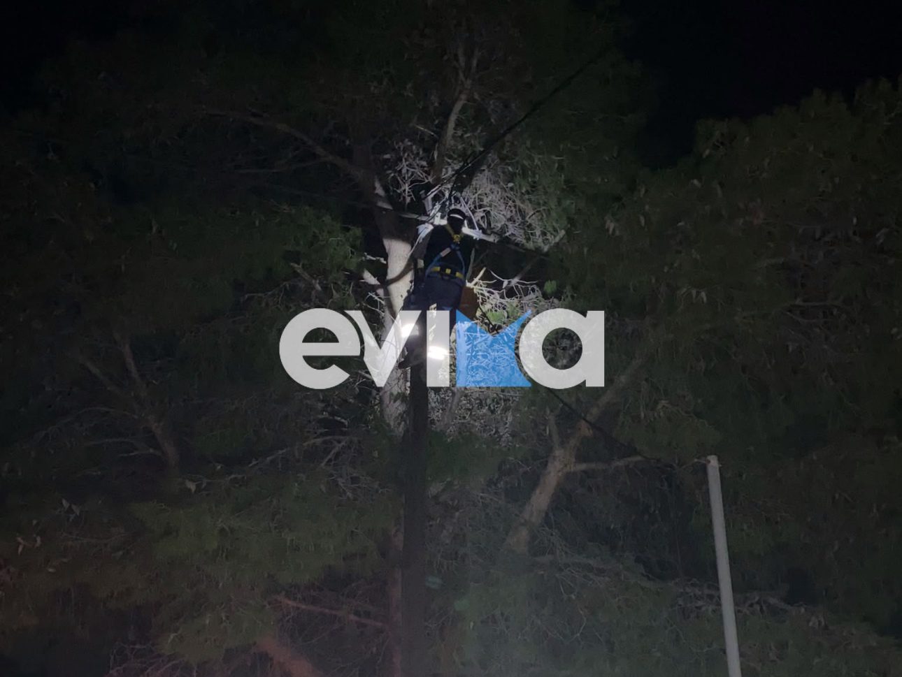 ΔΕΔΔΗΕ: Στην πρώτη γραμμή τα συνεργεία στην Εύβοια – Άμεση επέμβαση για την πτώση κολώνας